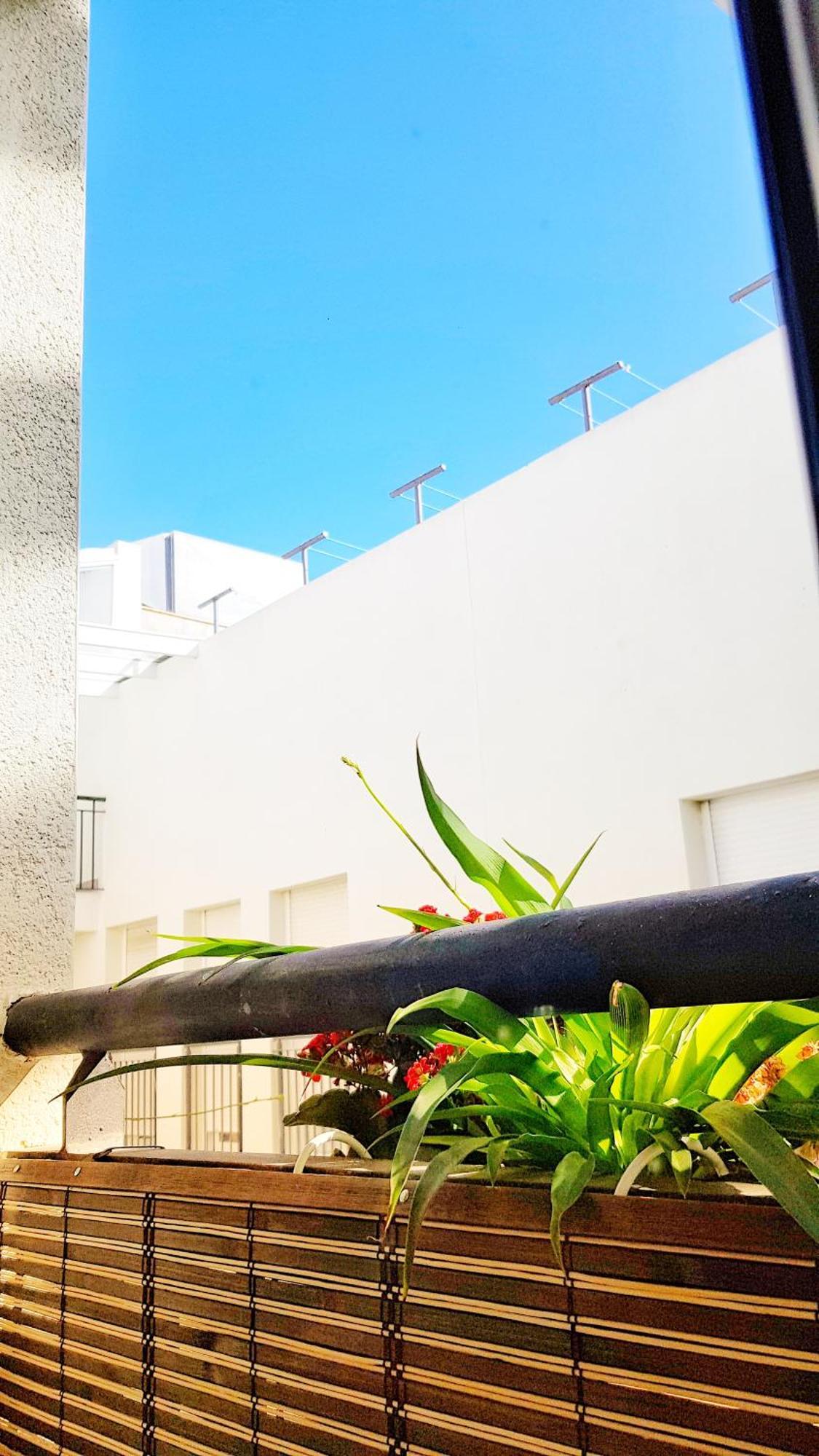 Loft Mentidero Apartment Cadiz Exterior photo